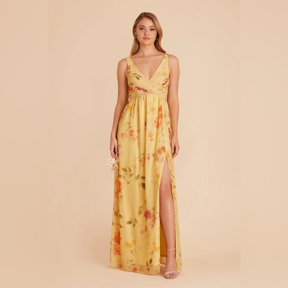 Birdy Grey Dresses & Skirts - Birdy Grey Laurie Empire Maxi Dress Pale Yellow Rococo Floral